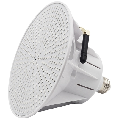 comprar Iluminación de la piscina de AC/DC 12V/24V IP68 LED online manufacture