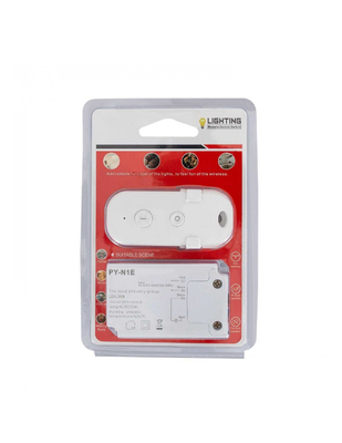 control ligero remoto 500W práctico 1000W de la radio de 220V 120V
